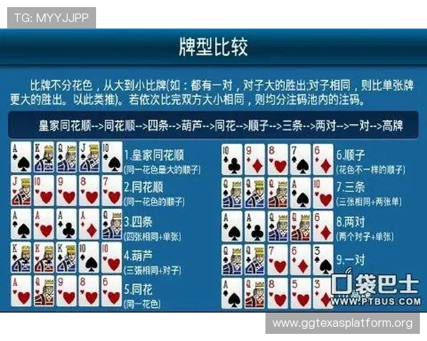 针对新手的德州扑克中文版下载教程与入门玩法指南